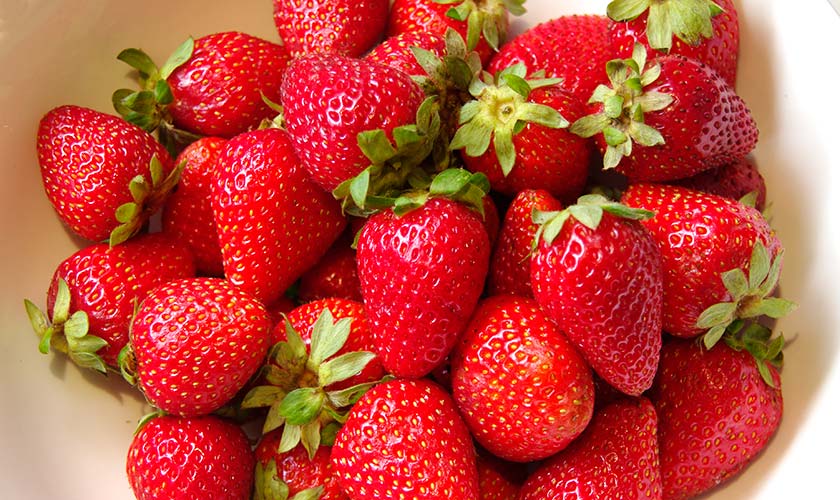 Strawberries - how to plant and raise them