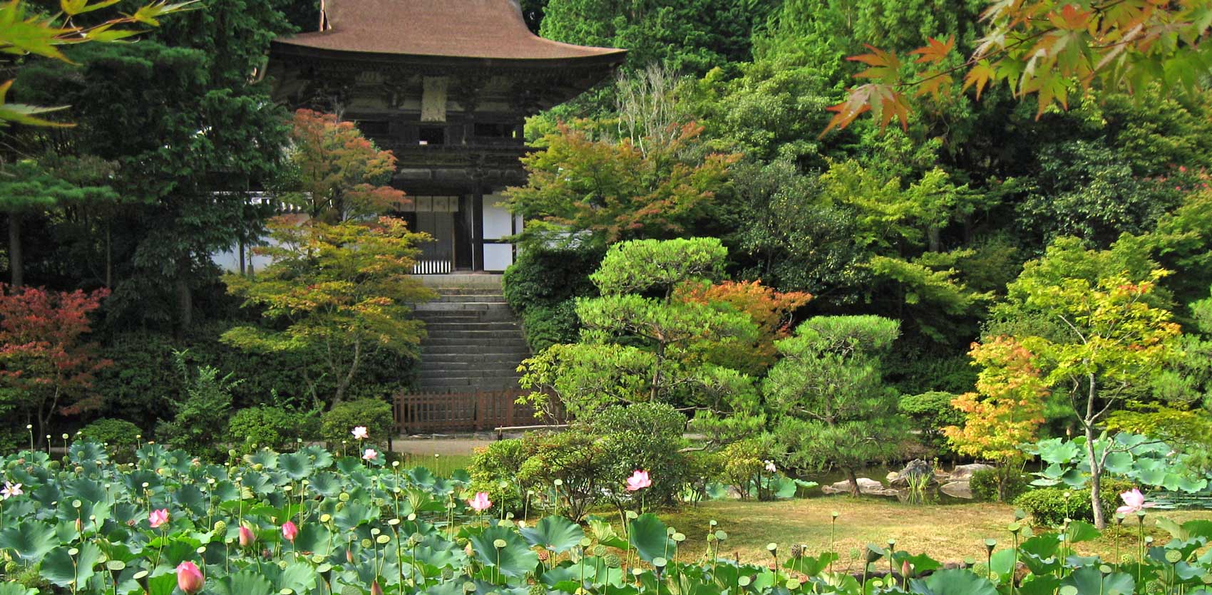 Enjo-ji Garden - Nara