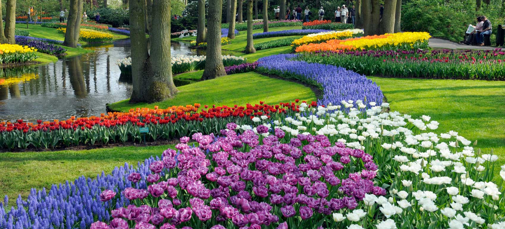 Keukenhof's most famous view