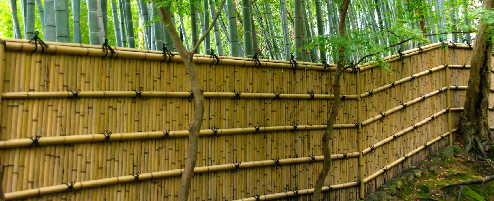 Bamboo fence divides the Bamboo Forest from Gingkaku