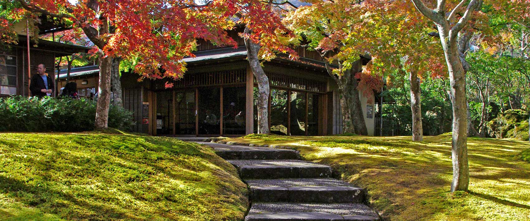 Hakone Moss Garden