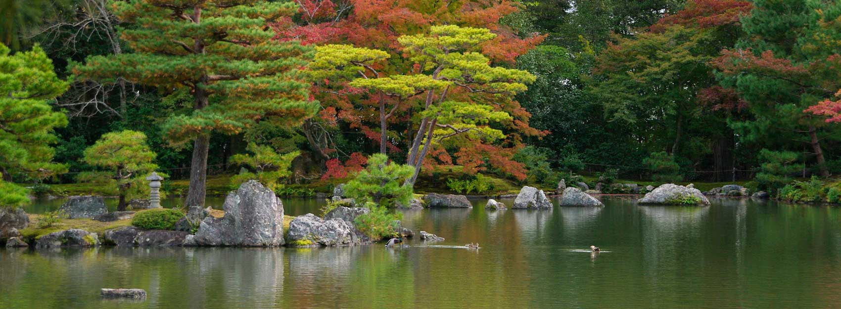 Small islands, some large enough for a tree. Kinkaku-ji