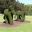 Horse topiary at Hunter Valley Gardens