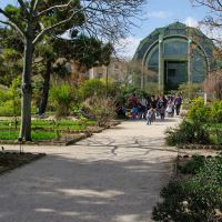 Jardin des Plantes