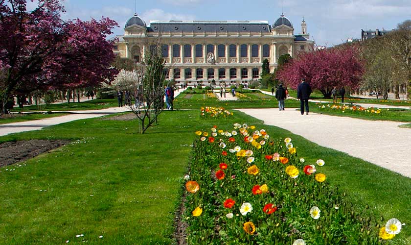 Jardin des Plantes