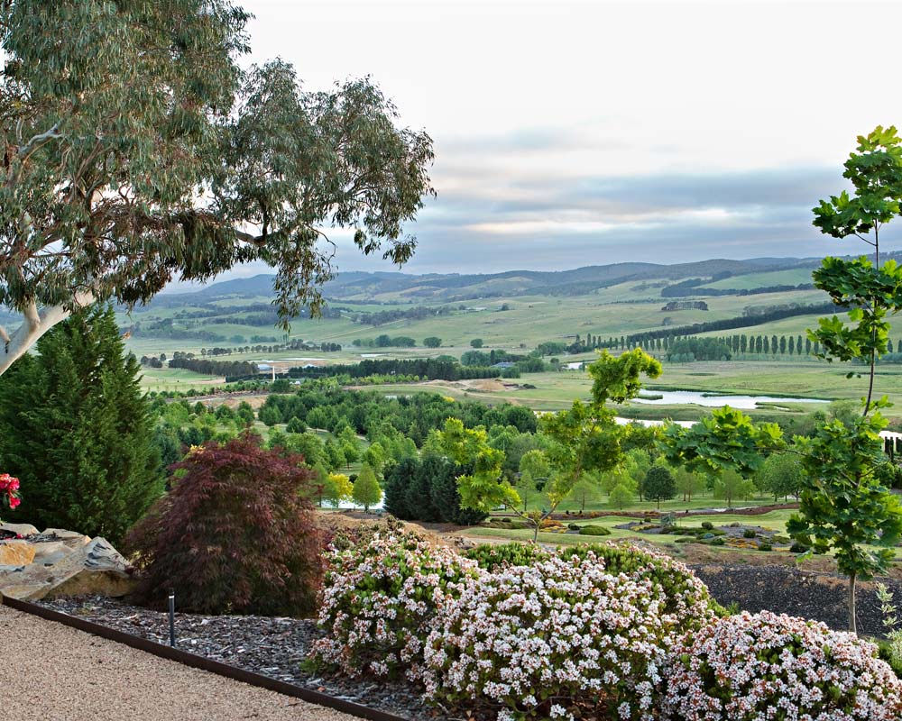 Mayfield Countryside View