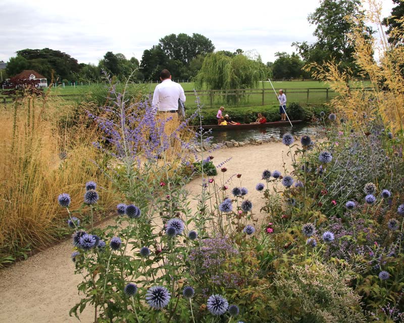 Merton Borders at Oxford Botanic Gardens - its all very British