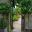 Gateway through to the Glasshouses at Oxford Botanic Gardens