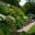 Summer Border at Oxford Botanic Gardnes