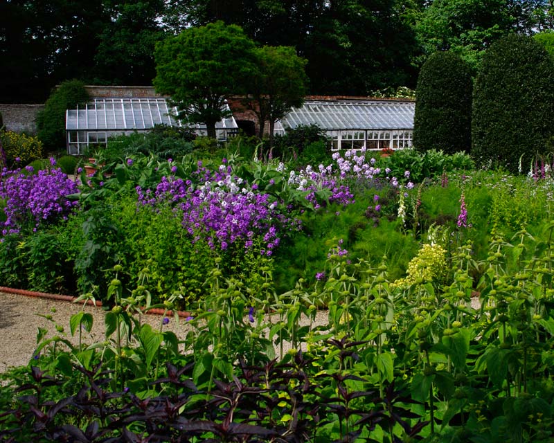 Flower garden at Losely Park