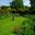 The herbaceous borders of Felley Priory