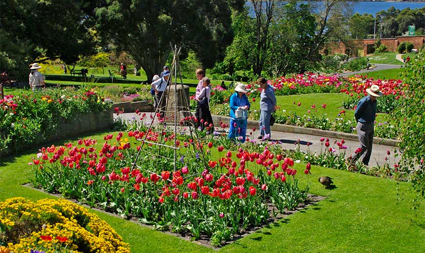 Royal Tasmanian Botanical Gardens