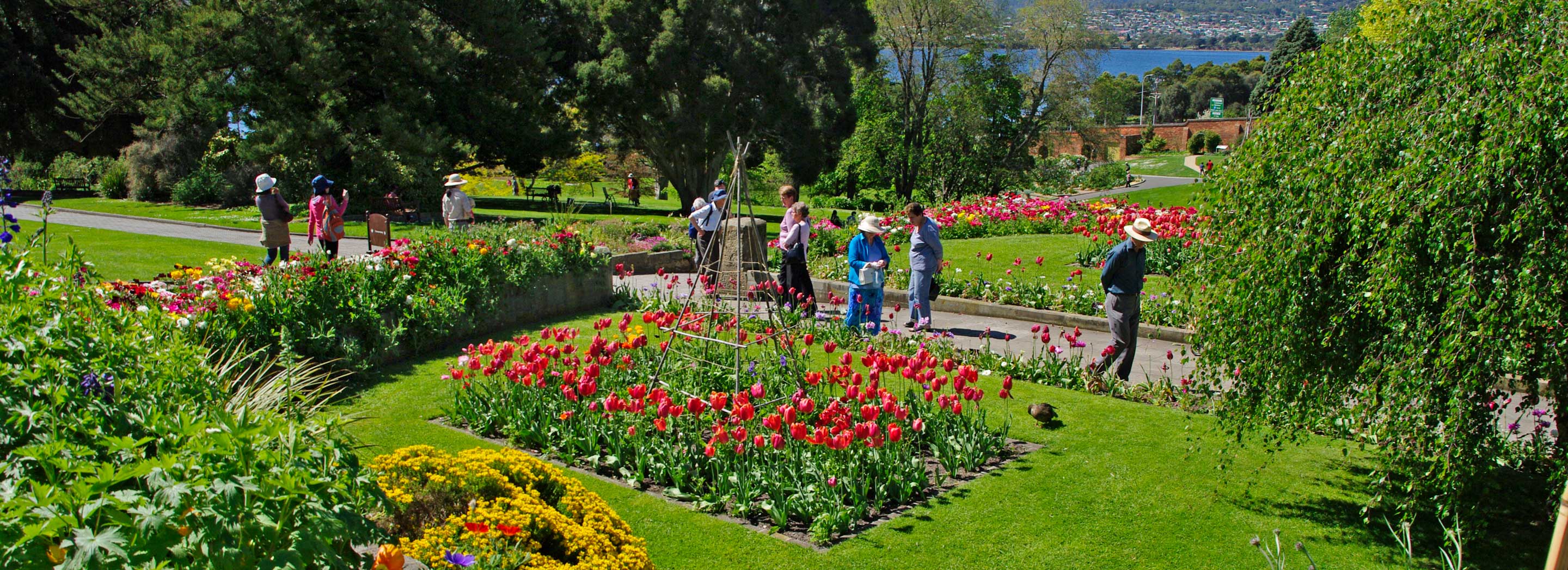 Royal Tasmanian Botanical Gardens