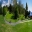 Garden Panorama - Royal Tasmanian Botanical Gardens