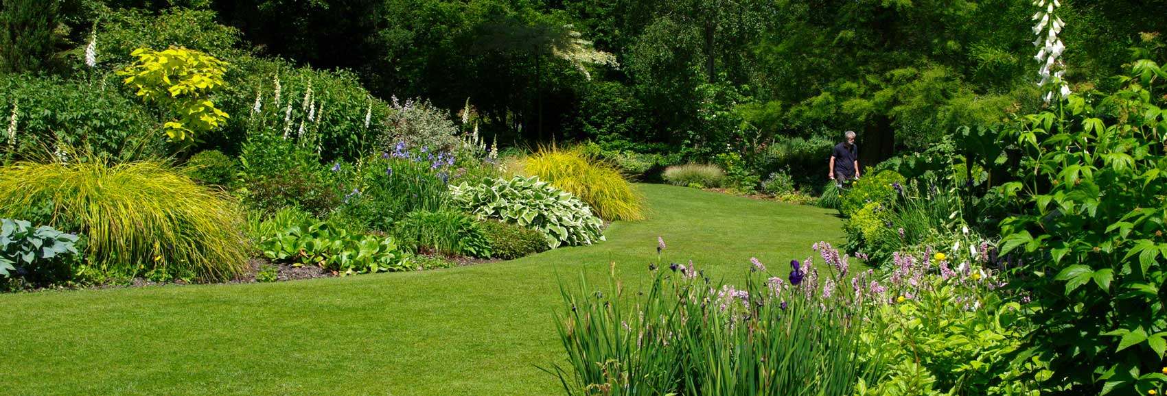 Beth Chatto's Garden - borders