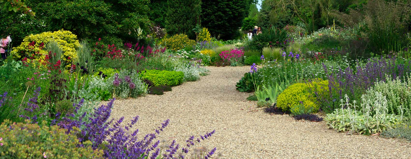 Beth Chatto's Gravel Garden