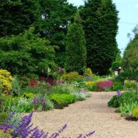 The Gravel Garden - Beth Chatto Gardens