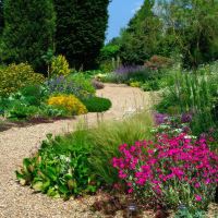 The Gravel Garden - Beth Chatto Gardens