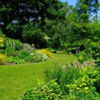 The Water Garden - Beth Chatto Gardens