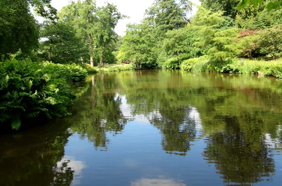 Savill Garden - The Far lake