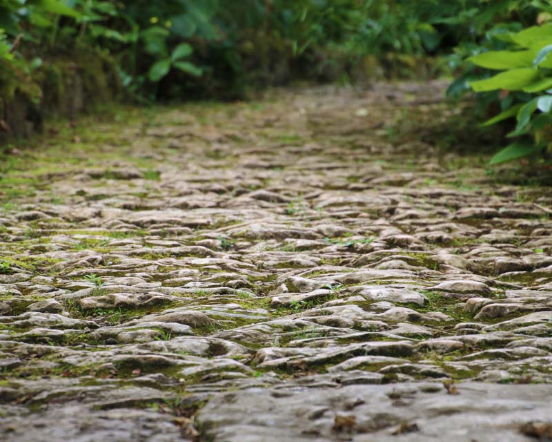 Hidcote Cobbled Path