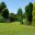 Waterperry Gardens - conifer beds