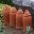 Westbury Court Garden - 17th century Vegetable Plots - Rhubarb  forcing jars