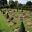 Westbury Court Garden - Flower beds