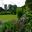 Westbury Court Garden - 17th Century Vegetable Garden Plots