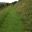 Grassy Upper Path to the Wild Garden with views across the garden - Mapperton