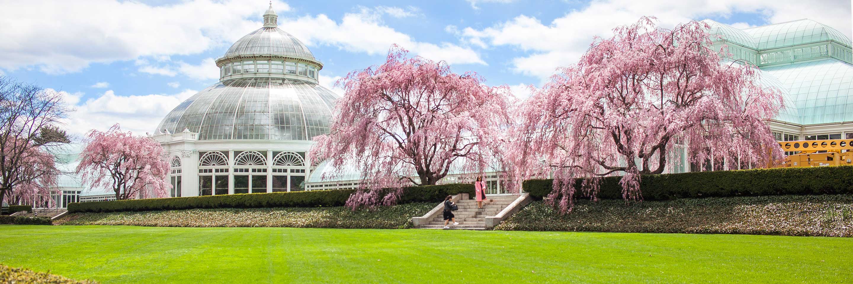 New York Botanic Gardens