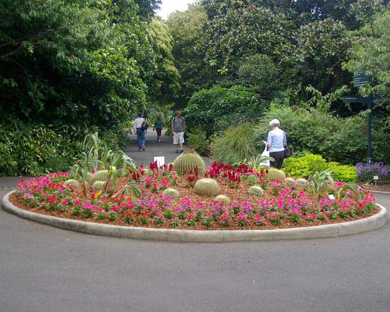 Plantings at Sydney Botanic Gardens are often rather imaginative, this space is different on every visit.