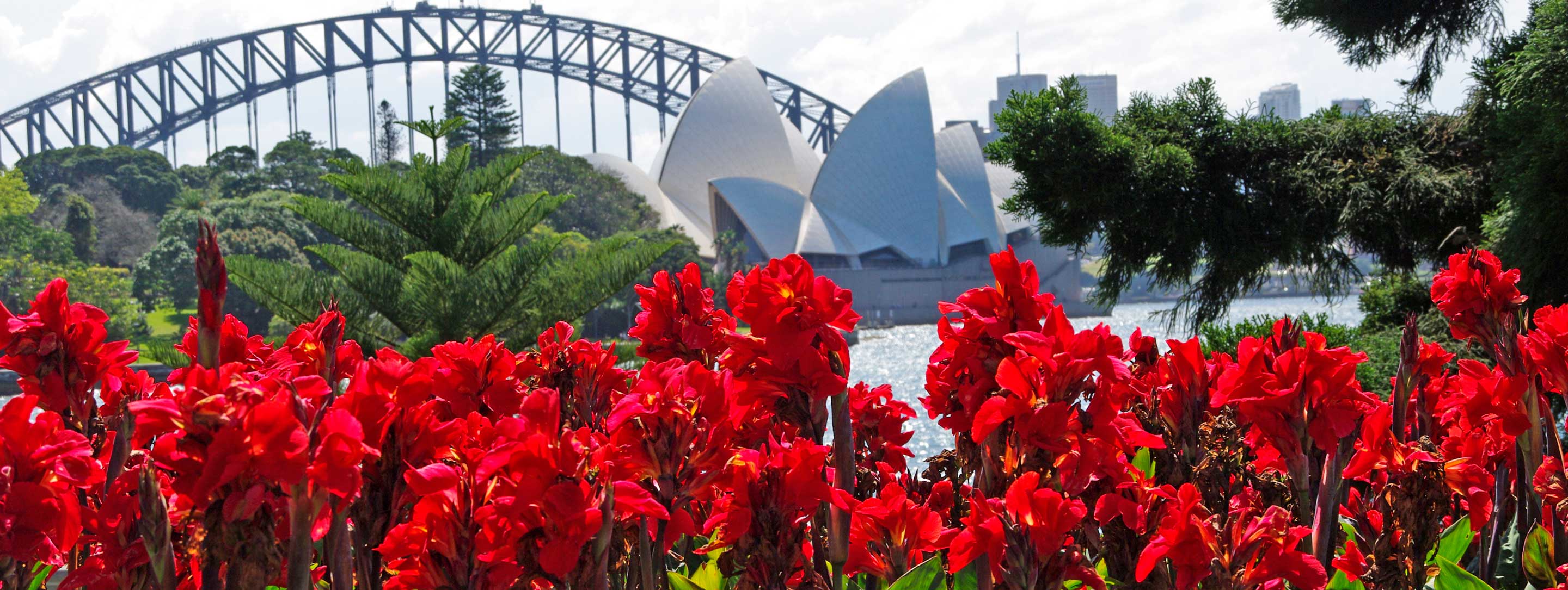 Sydney Royal Botanic Garden