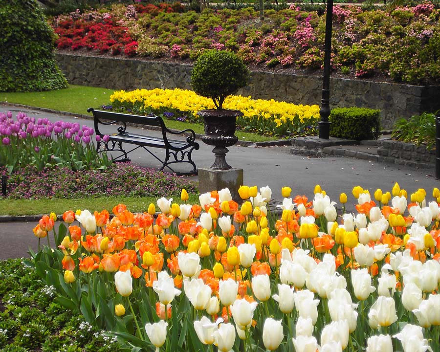 Wellington Botanic Gardens, New Zealand.