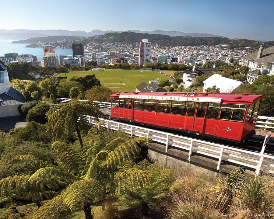 Wellington Botanic Gardens, New Zealand.