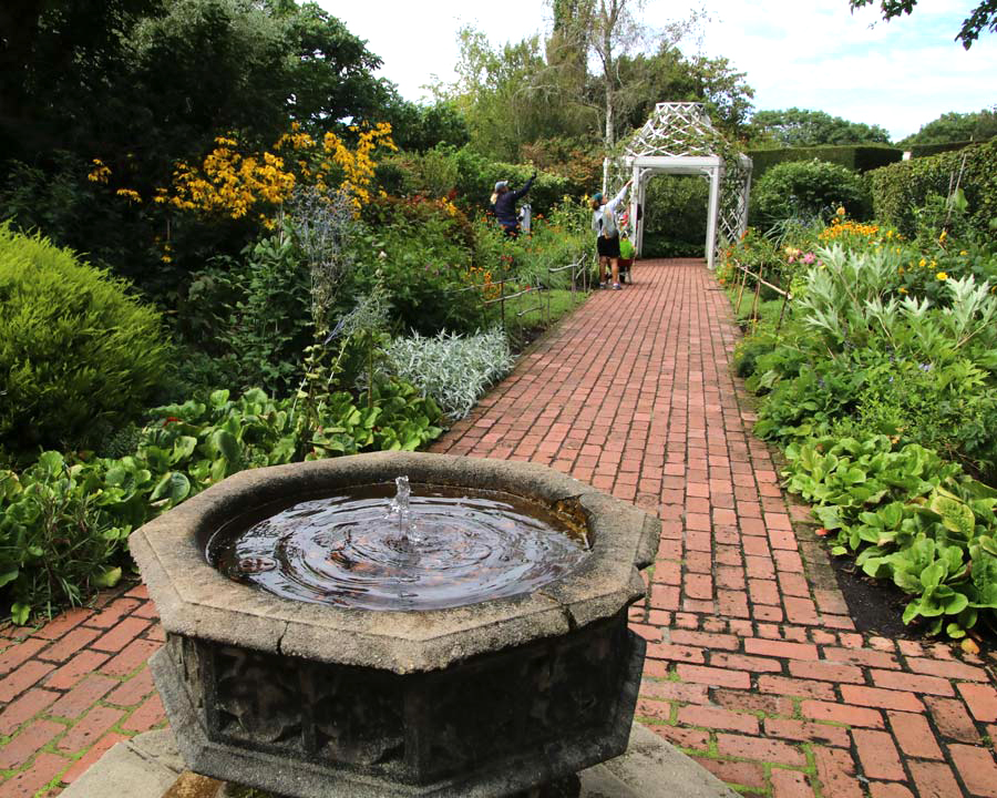 Summer Borders in the English Garden - Hamilton Gardens NZ