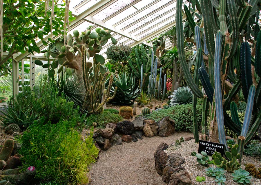 Succulent House, Victorian Glasshouse, Hamilton Gardens NZ