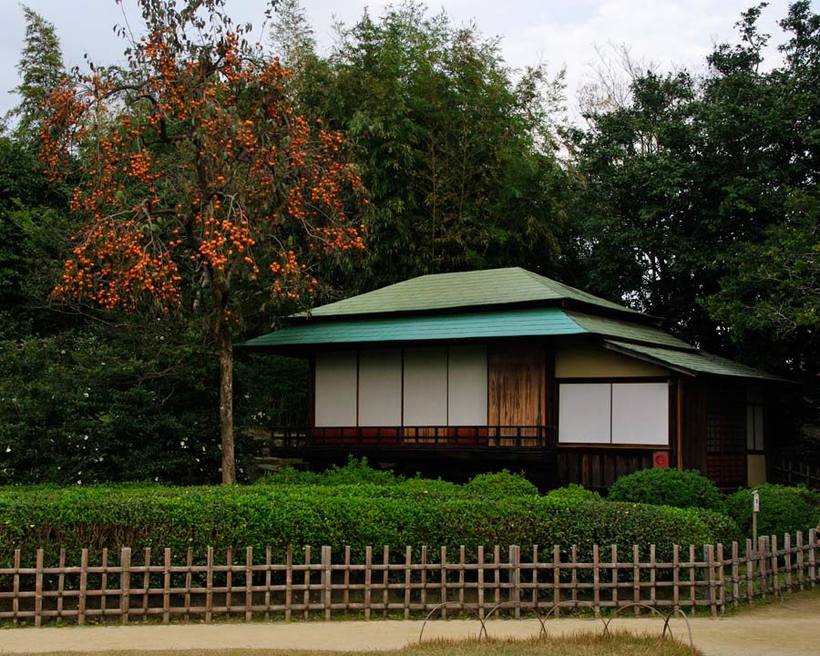 One of the many tea houses in Korakuen Gardens - the bright orange fruit are persimmons