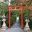 Ryoanji Zen Rock Garden, Kyoto - Tori Gate at entrance of shrine on a small island