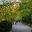 Ryoanji Zen Rock Garden, Kyoto - Tree lined paths between entrance and temple