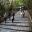 Ryoanji Zen Rock Garden, Kyoto - Steps to the Main Hall