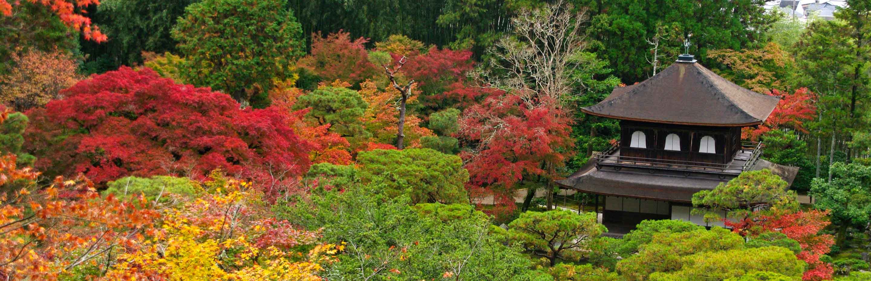 Ginkaku-ji, Temple of the Silver Pavilion