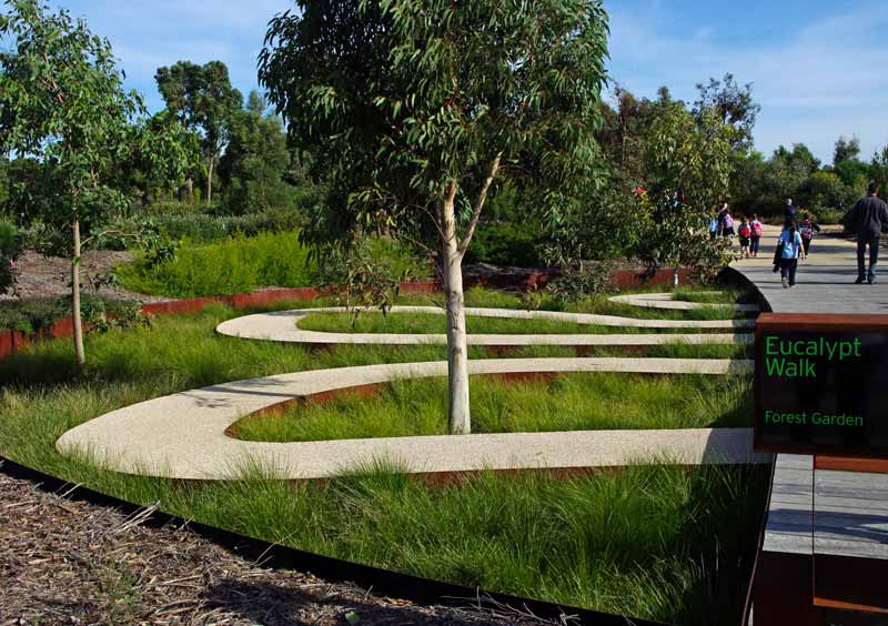 Scribbly Path - Eucalyptus Walk Cranbourne