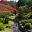 Isuien Gardens - stunning autumn colour in back garden, the brilliant red of the Spindle Bush