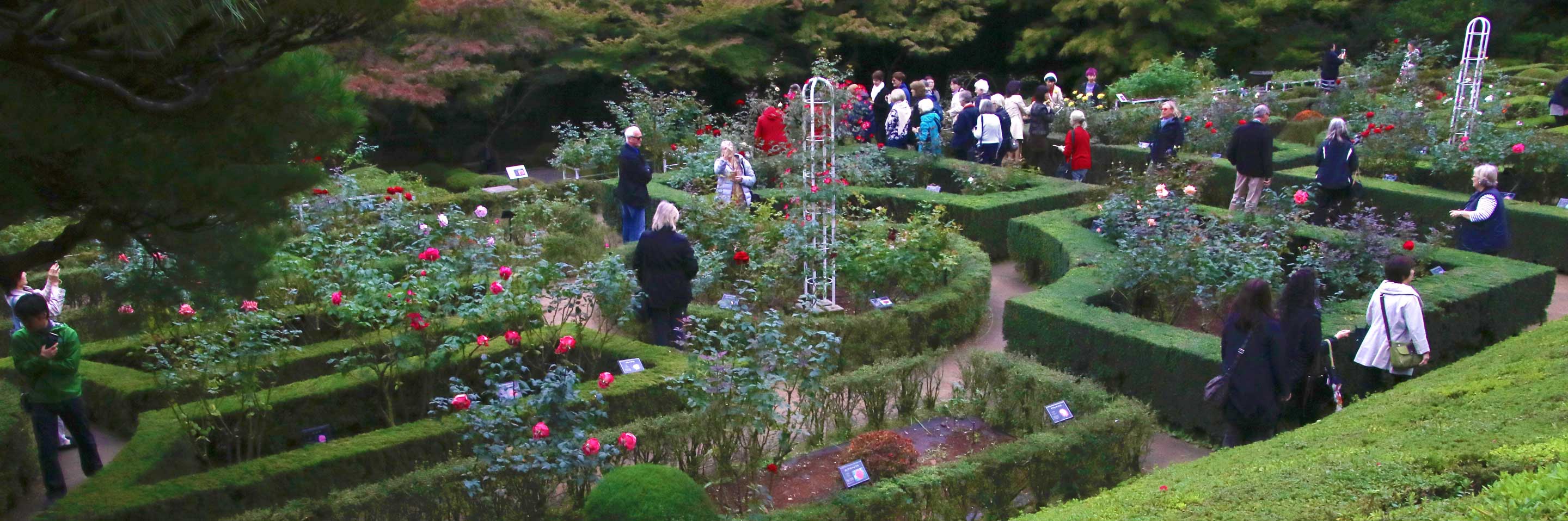 Kyu-Furukawa Gardens