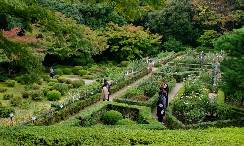 Kyu-Furukawa Gardens, Tokyo