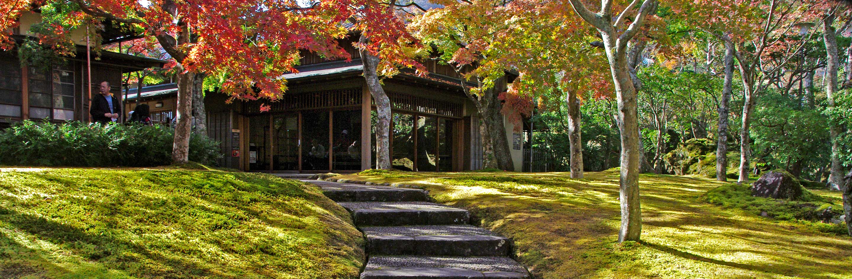 Hakone Museum of Art Moss Garden