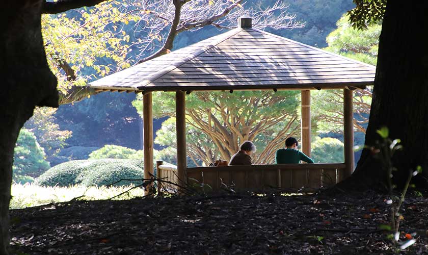 Shinjuku Gyoen National Gardens