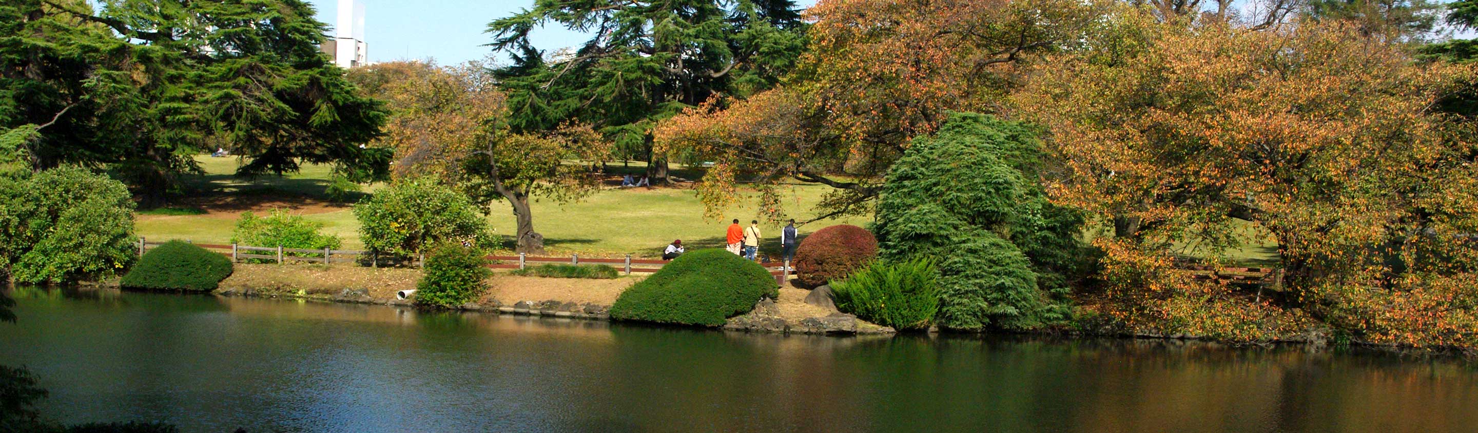 Shinjuku Gyoen National Gardens