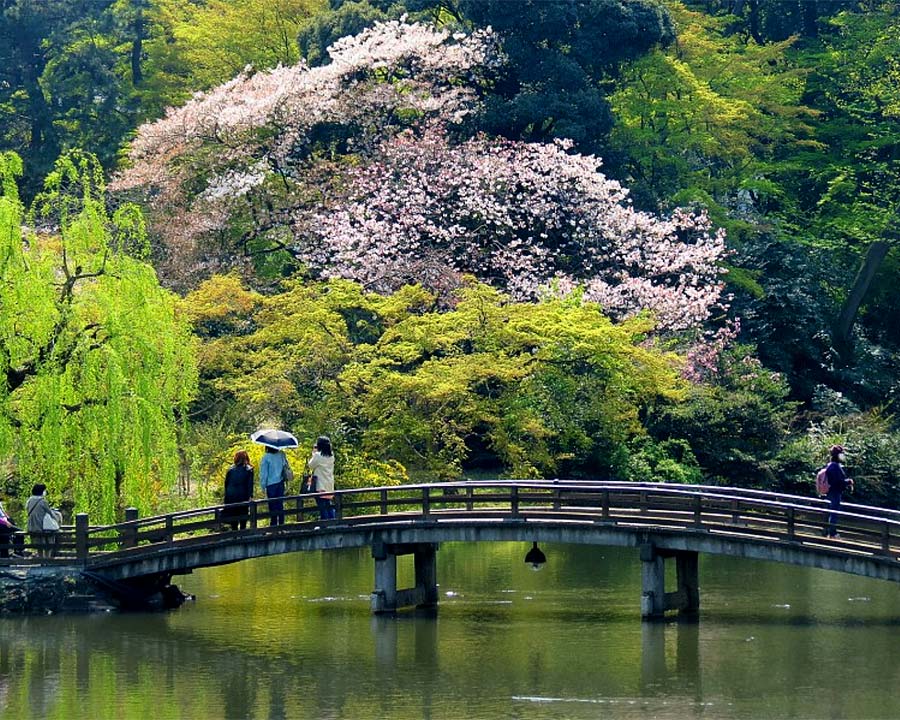 Shinjuku Gyoen, Tokyo